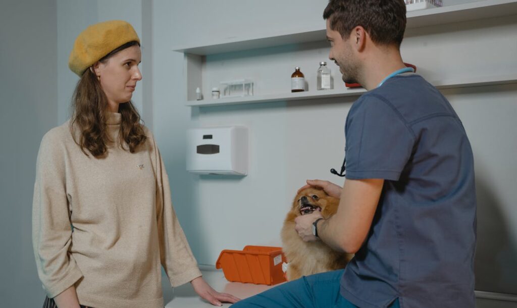 Veteriner Kliniği için Instagram Reklamları Rehberi [2026]